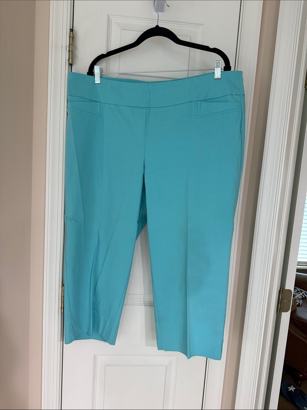 Zac & Rachel Aqua Stretch Pull-On Capri Pants, 18W